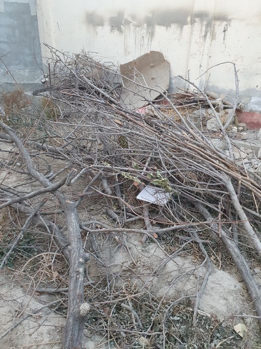 Òtin sotiladi  arzon narhda