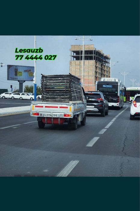 Lesa,Kavida,Bayoʻk,Istoʻyka,Lesa sotu.