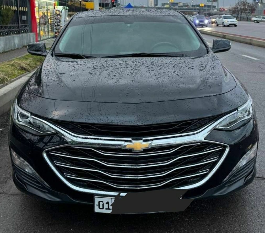 Malibu 2 2019 Primer qilingan Tozza