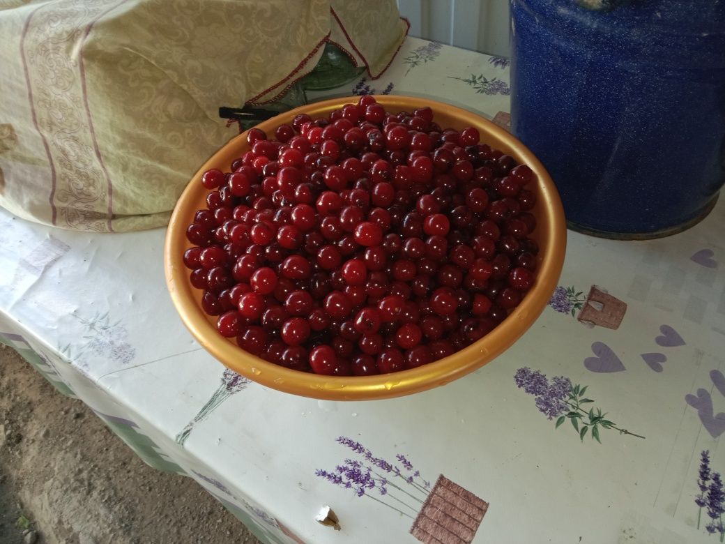 Продам дом крупную вишня
