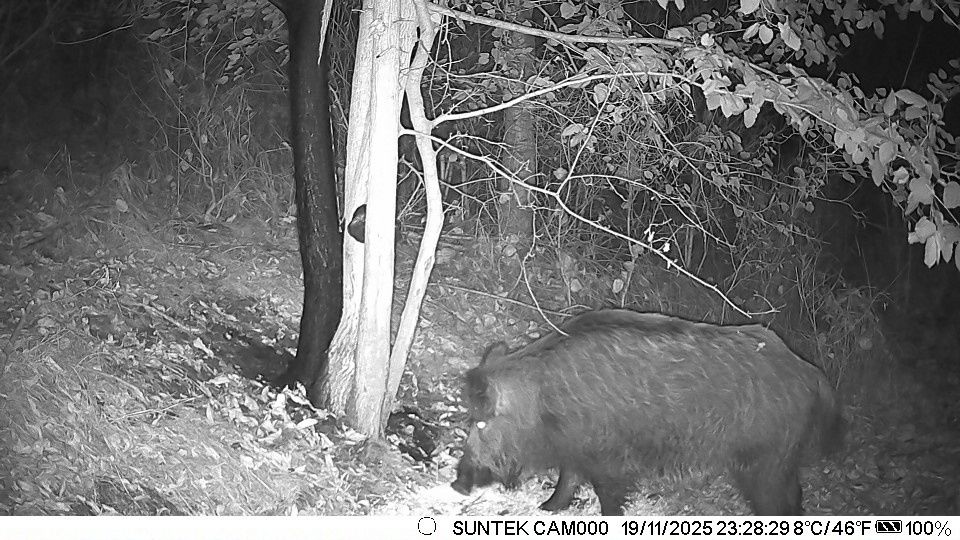 Ловна камера SUNTEK HC-900