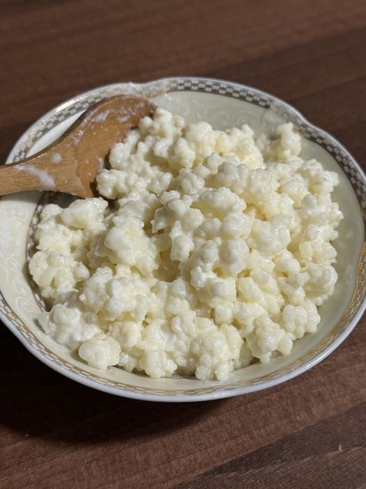 Ciuperca kefir (bacterie probiotica)