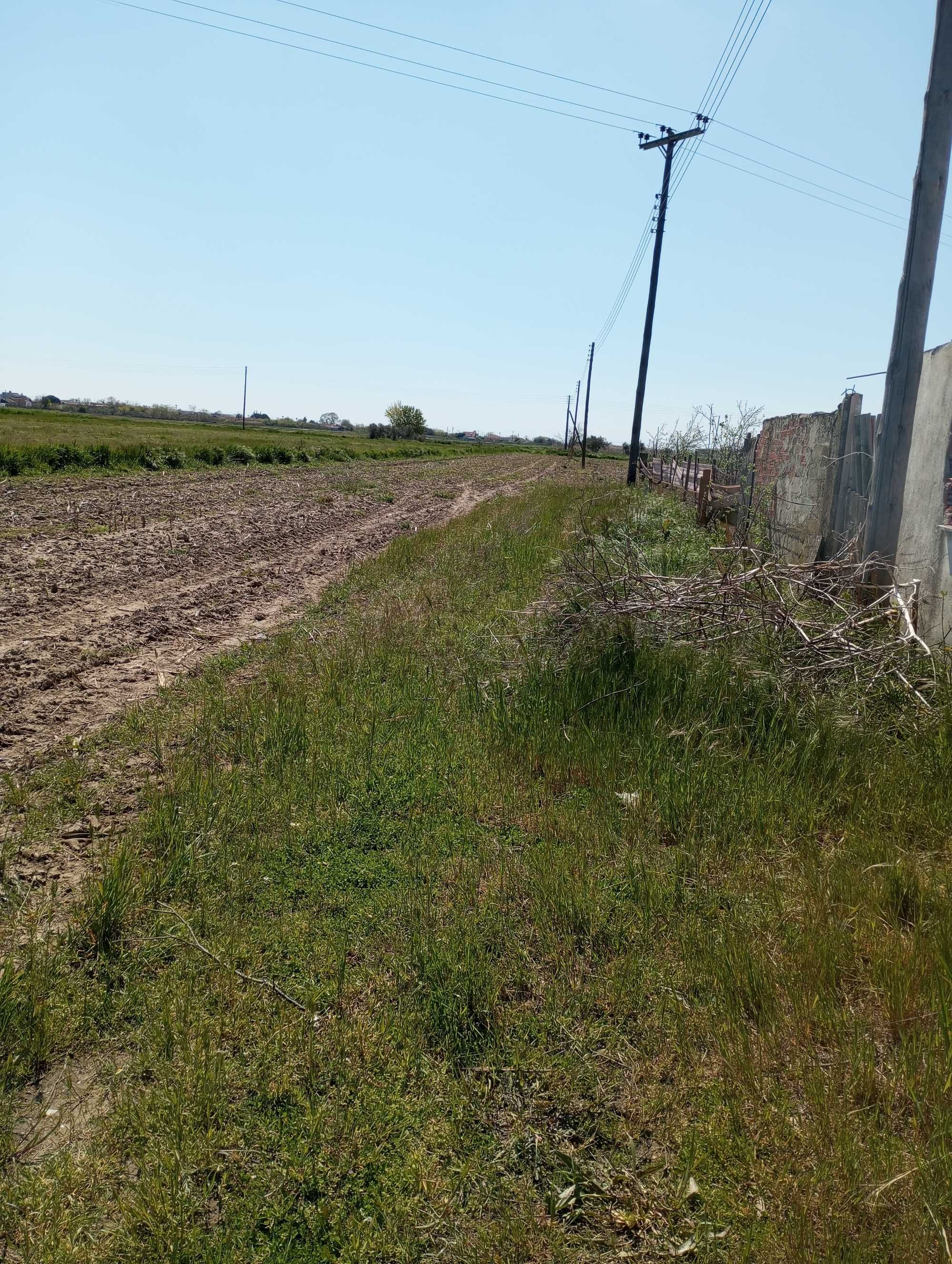 Продава се в Гърция земеделска земя