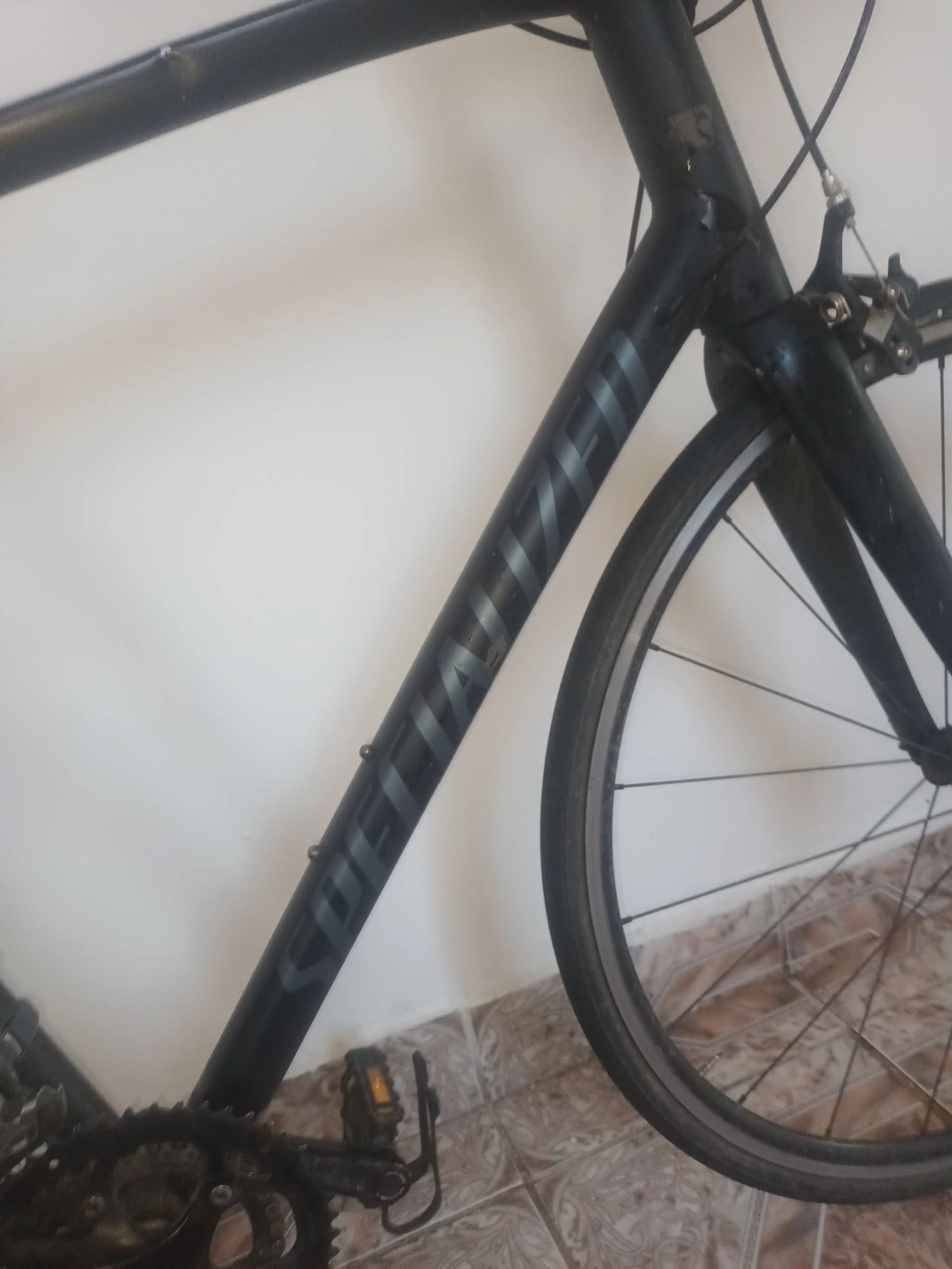 Bicicleta Profesionala