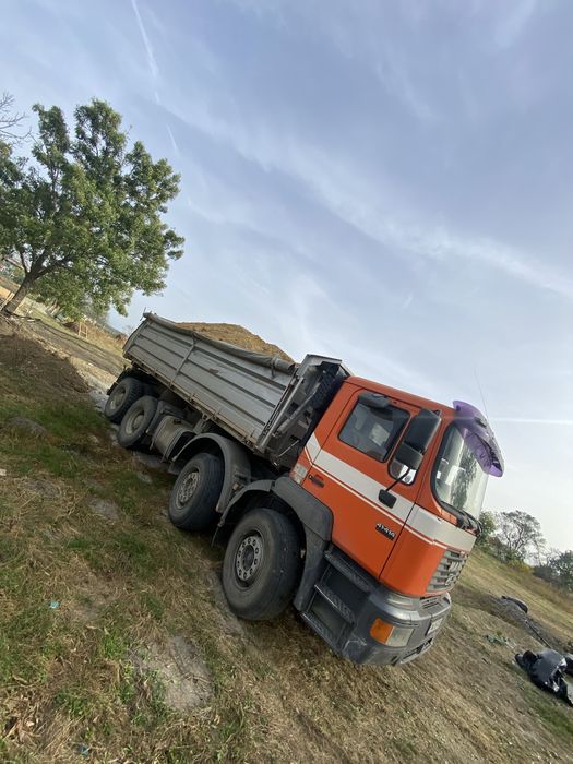 Mraniță de oaie macerată și pământ nisipos