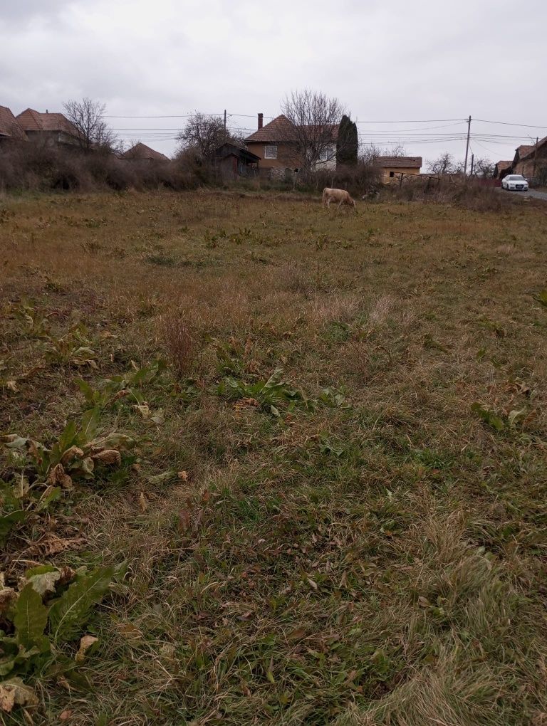 Teren cu casa si utilitati