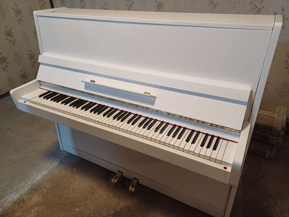 Oq rangli sifatli Belarus