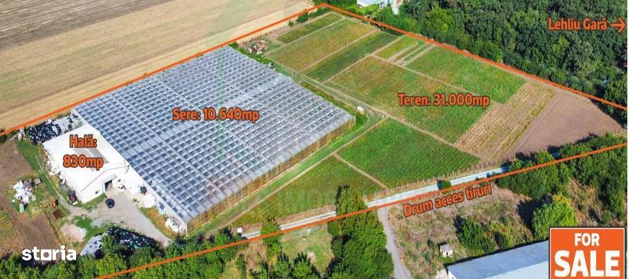 O afacere de succes în horticultură cu seră în Lehliu Gara