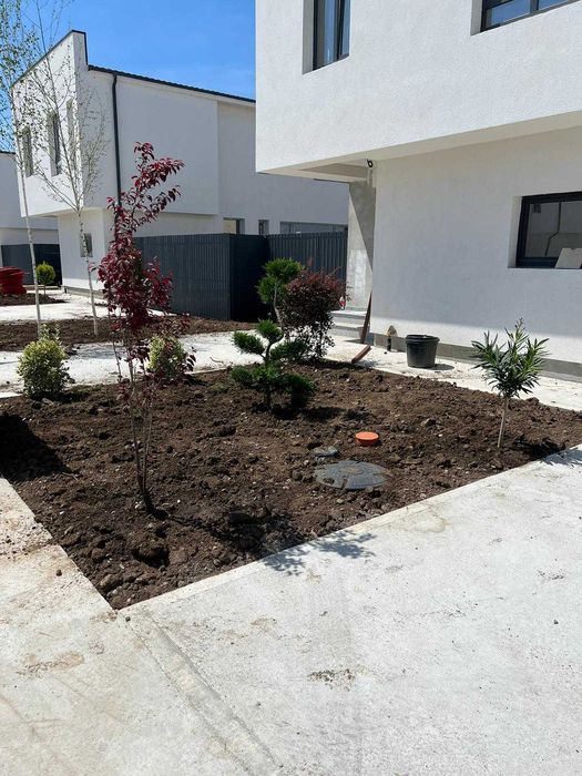 Plante ornamentale elegante ce aduc rafinament natural