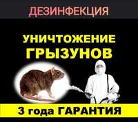 Дезинфекция от грызунов Крысы,Мыши. Dezinfeksiya Sichqon Kalamush 24/7