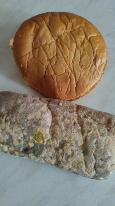 Vand paine uscat la sac de 3 duble contine 60 de cheabata si 60 de chi