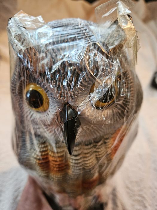 Бухал за изгонването на гълъби от балконите