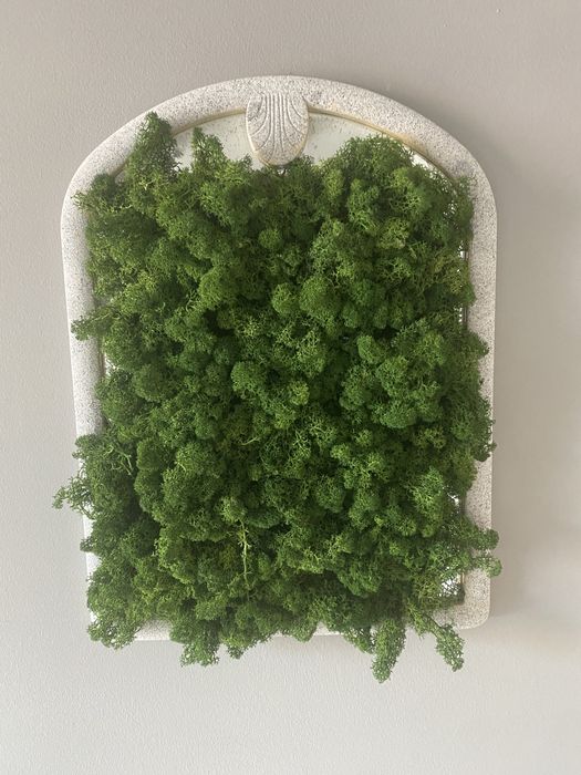 Картина пано с вечнозелен мъх