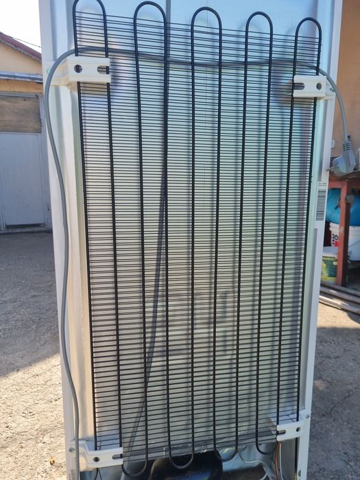 Congelator arctic