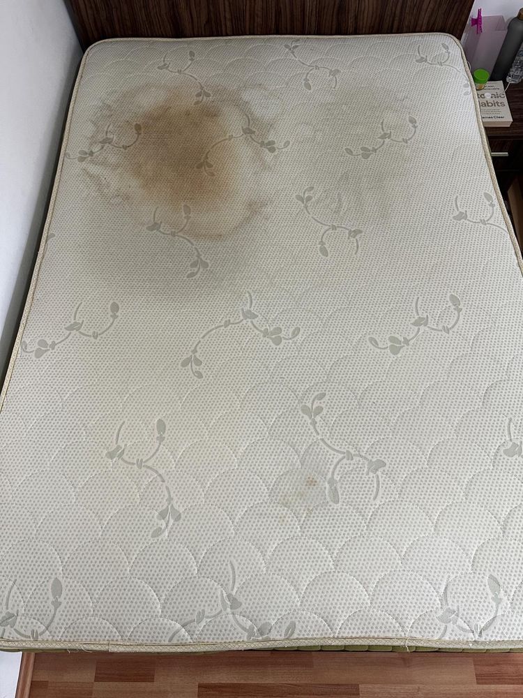 Curatare cu abur canapele/saltele/auto/mocheta