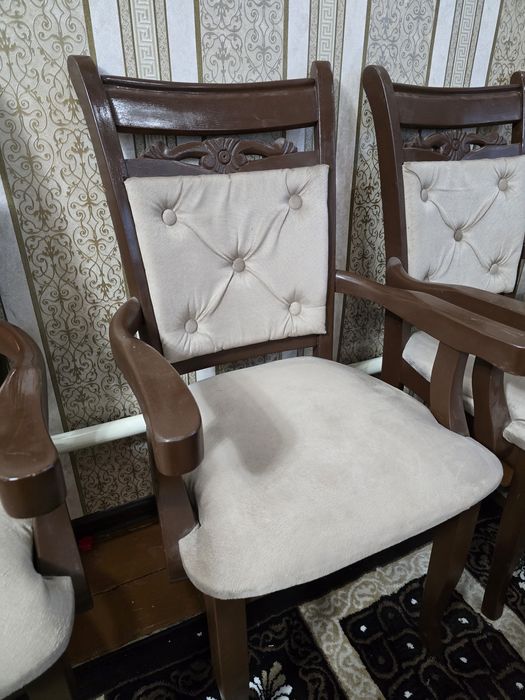 Stul zallar uchun. 12dona.