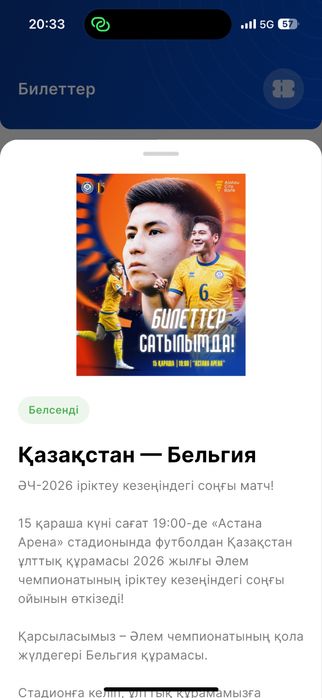 Билет на матч Қазақстан-Бельгия
