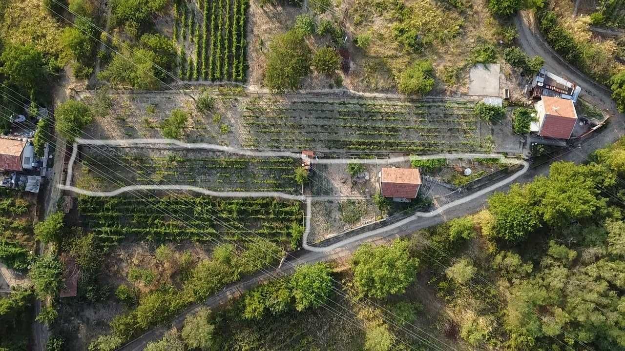 Продава се Къща в Силистра, Запад - 700 кв.м за 33 €/кв.м - Снимка #14