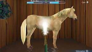 My Riding Stables: Life with Horses на английском б/у Nintendo Switch