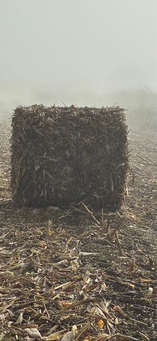 Baloti tocatura porumb