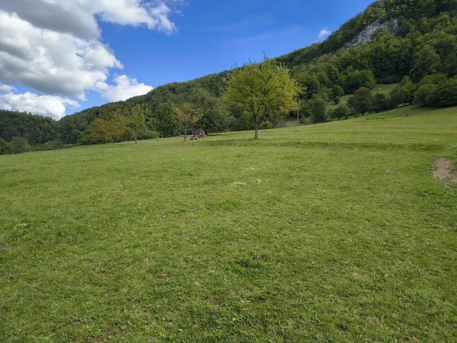 Vând teren intravilan Remeti