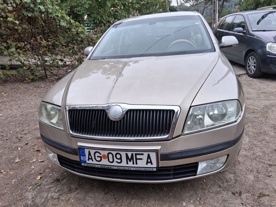 Skoda Octavia 1.9 TDi / 2006