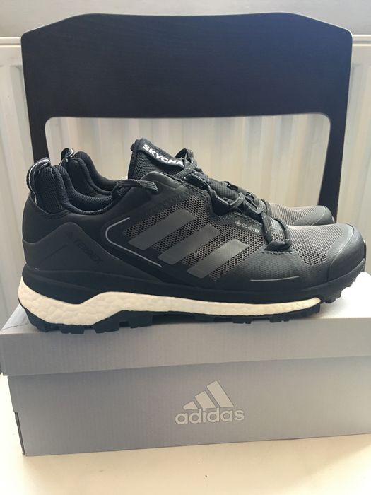 Adidas Terrex Skycnaser Boost Goratex
