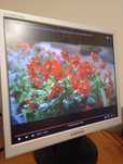 Monitor Samsung - 720N