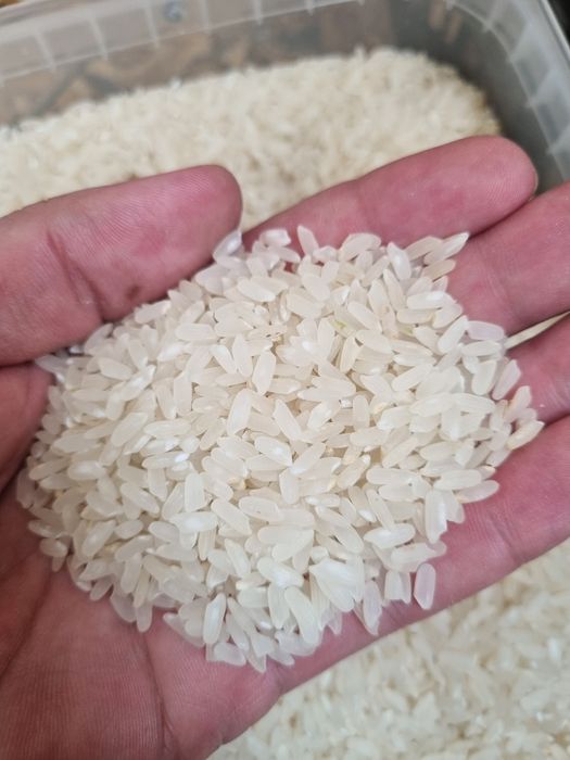 Туркмен Лазері Аләнгә