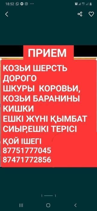 Ешкы жуны шерсть ДОРОГО