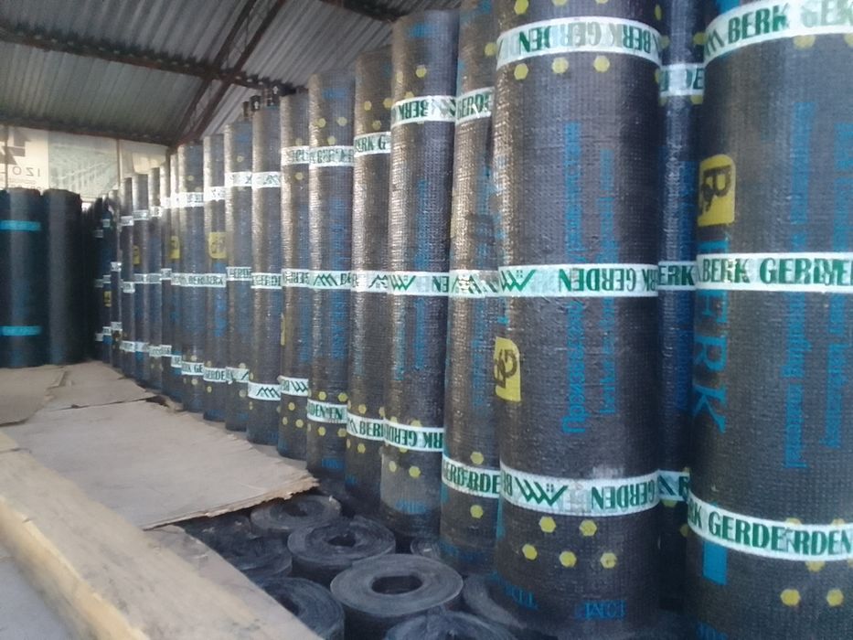 Berk memrana turman palizol