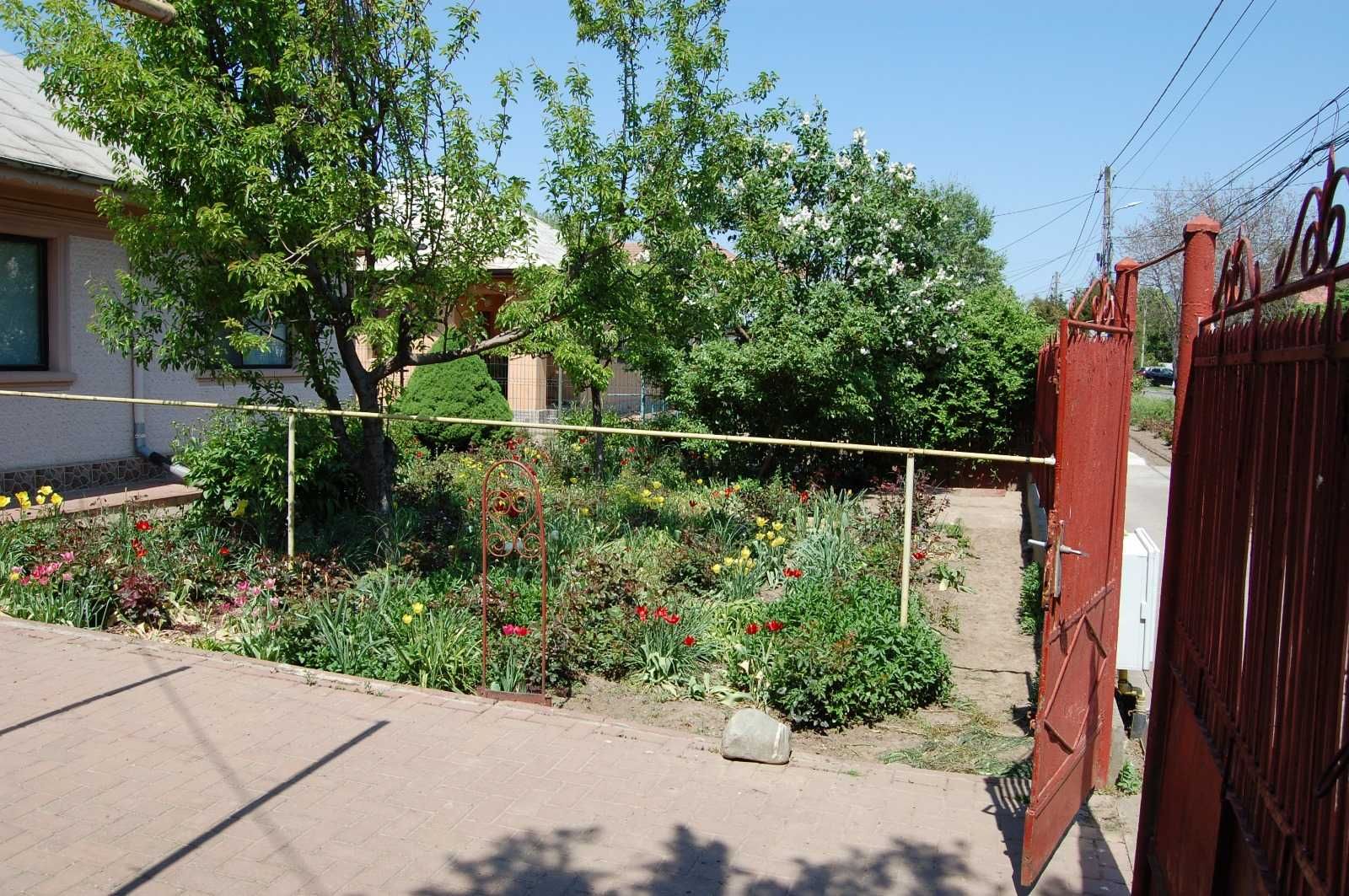 Casa De Vanzare Amara