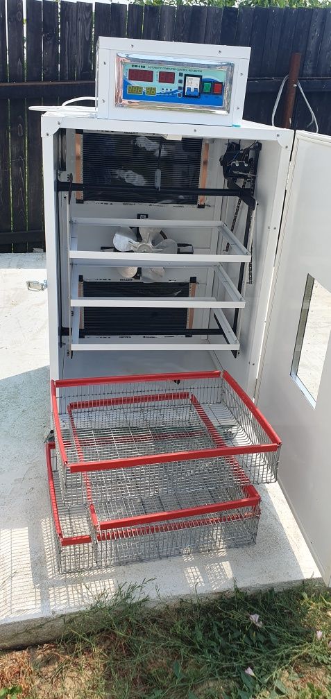 Incubator profesional