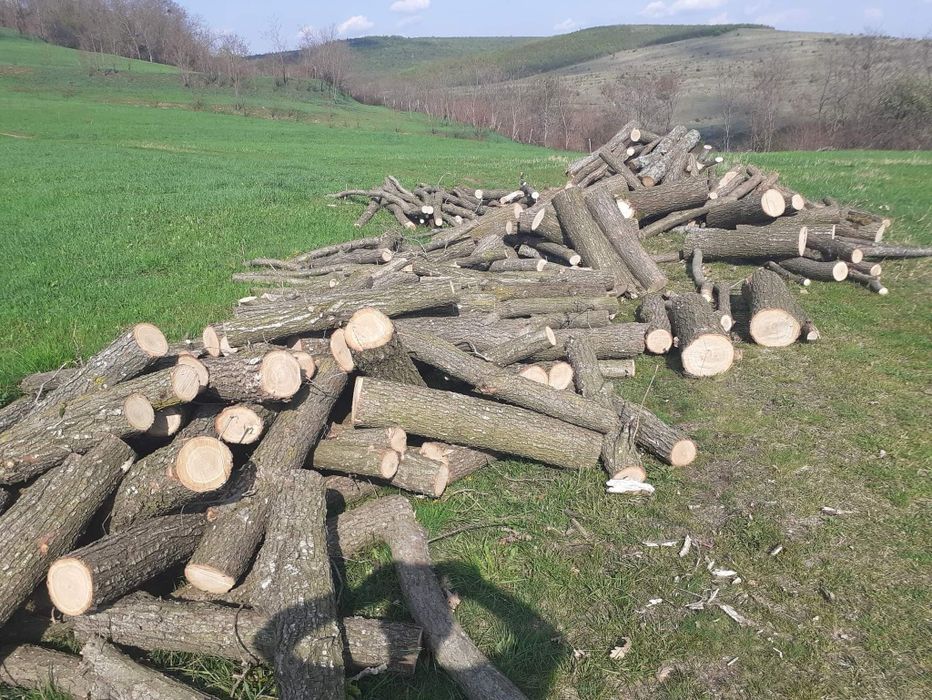 Vînd lemne de foc la 250 lei metru