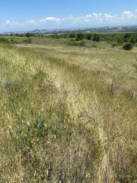 Земеделска земя Белащица/Марково