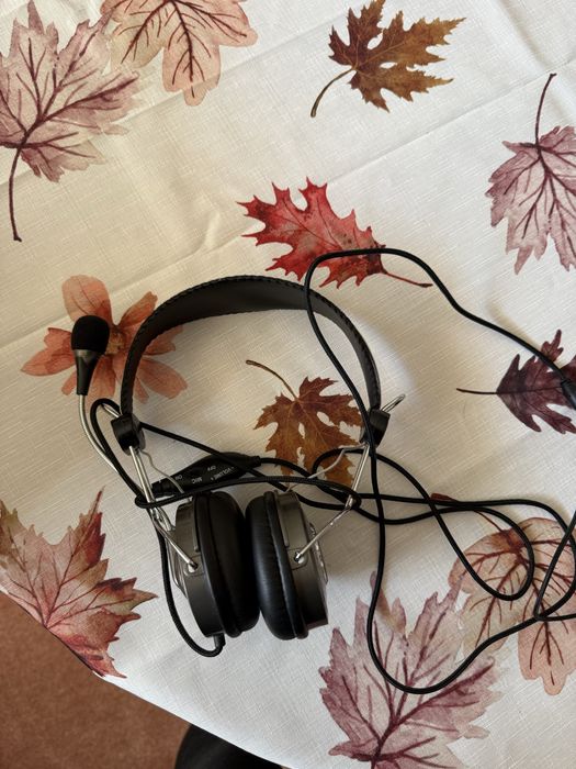 Casti Genius cu microfon mufa Jack