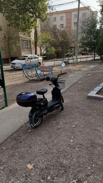 Skuter arenda beriladi