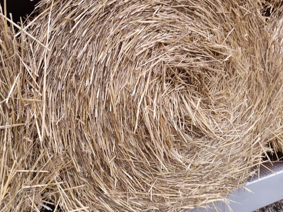 Baloți de tulei, tocătură și de paie