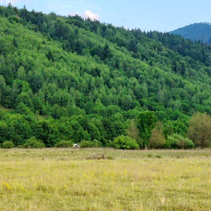 Vând teren zona turistica Breaza Făgăraș jud Brașov