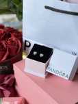 Cercei tip Pandora