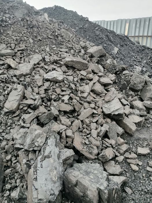 Кузнецкий Шубаркольский Рапид Уголь всех видов