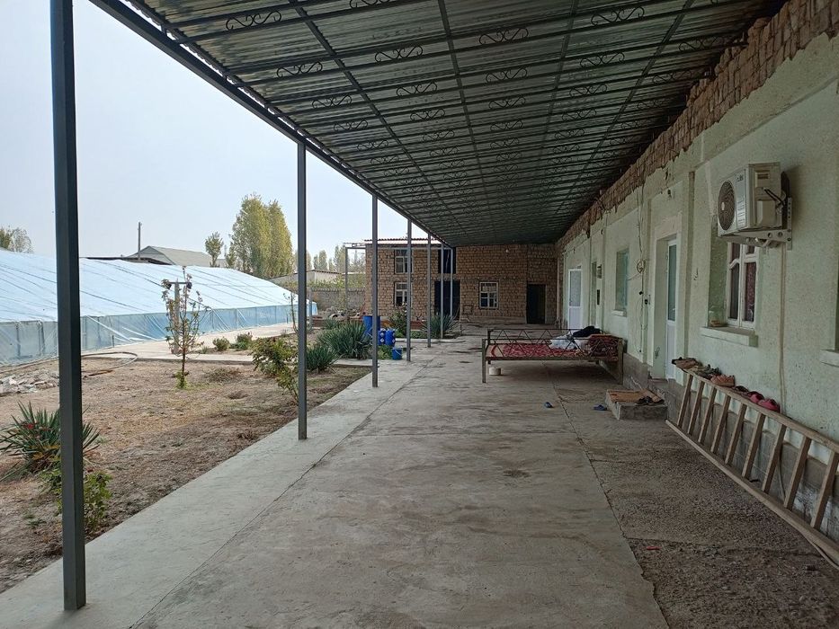 Kotta xovli sotiladi  sirdaryo tumani Sirdaryo shaxri .