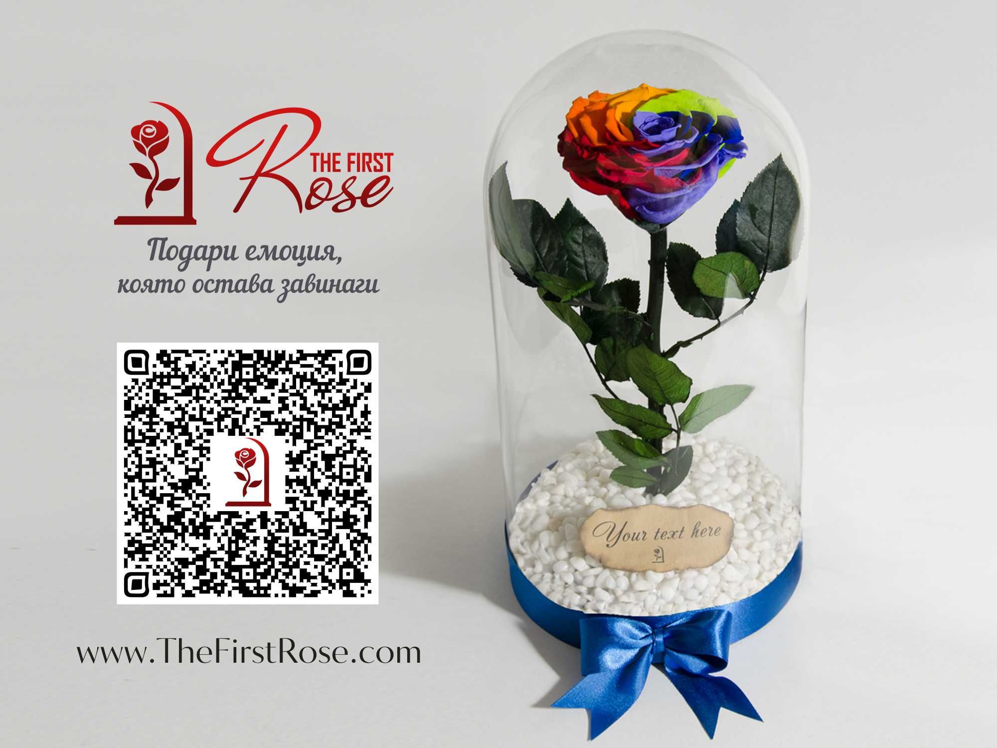 Многоцветна-рейнбол Вечна роза в стъкленица / Нестандартен подарък