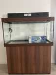 Acvariu Juwel Rio 350+ stand NOU