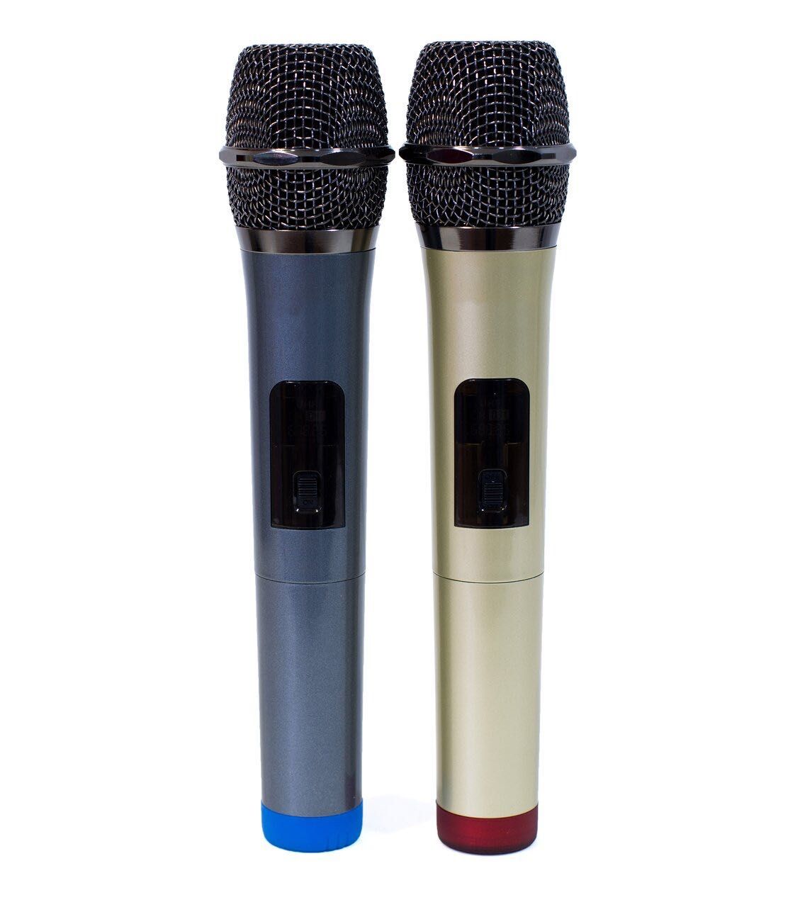 Караоке система Pro-Karaoke S11
