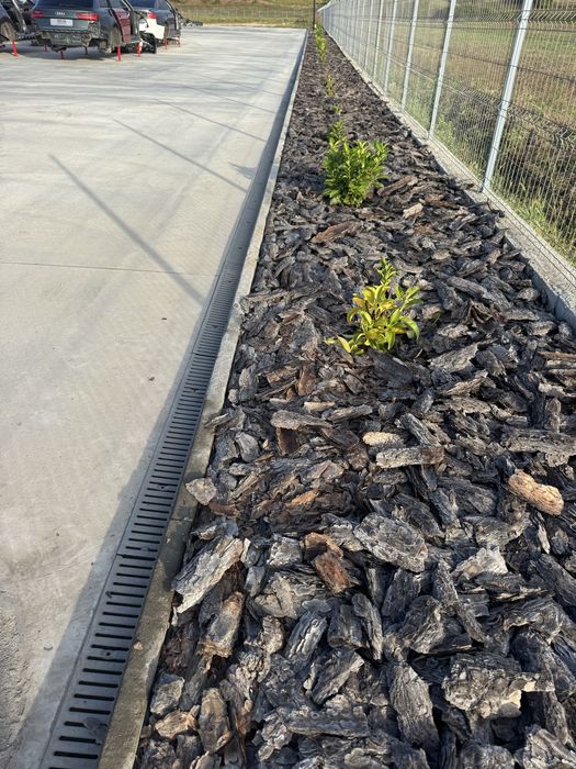 Scoarta  decorativa curti gradini , pin natural