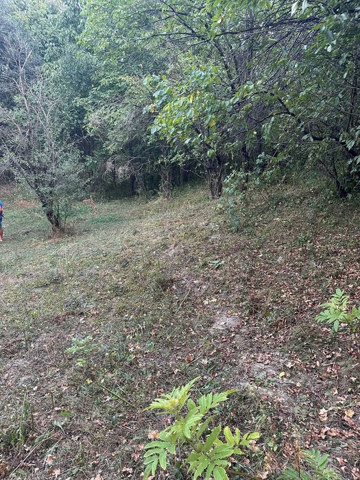 Teren de vânzare - Breaza