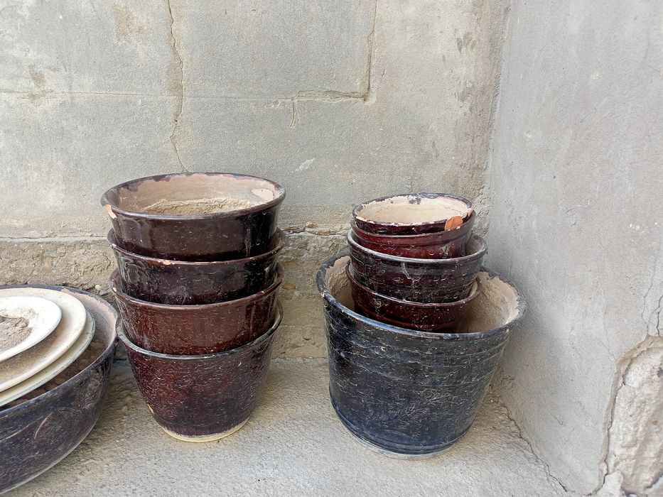 Продам б/у кошки для ростения