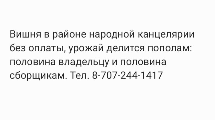 Вишня без оплаты вишня