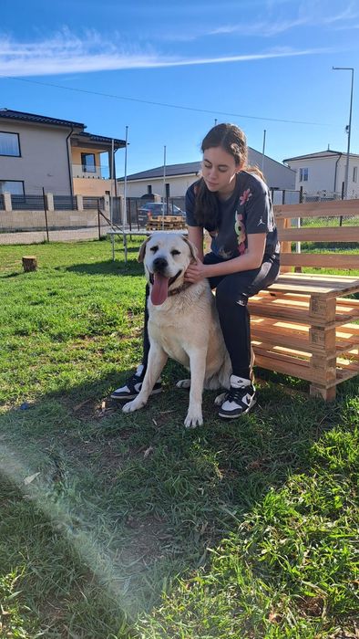 Școala de dresaj canin SEMPER FIDELIS din Oradea